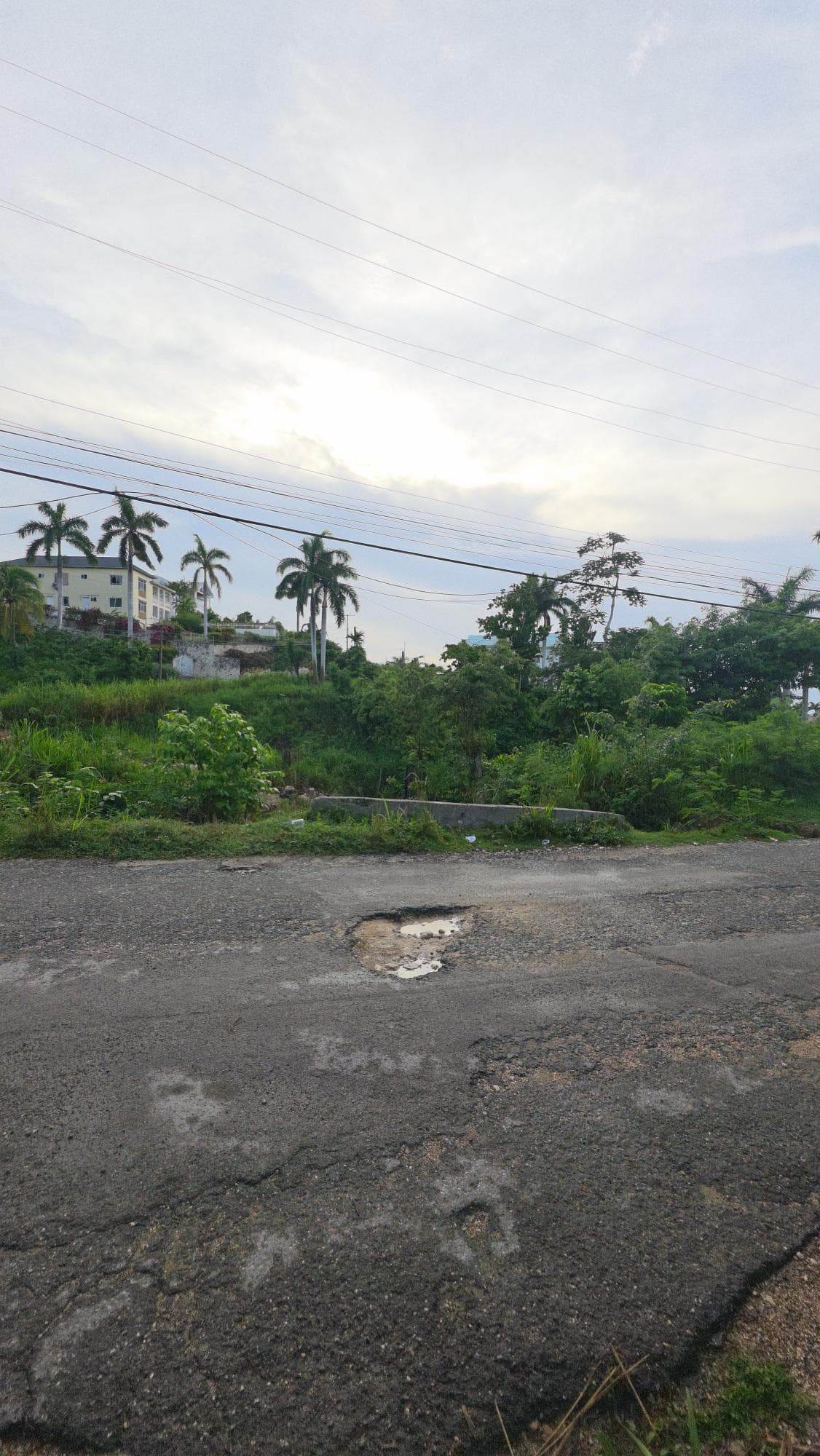 372 TORADA HEIGHTS photo 11
