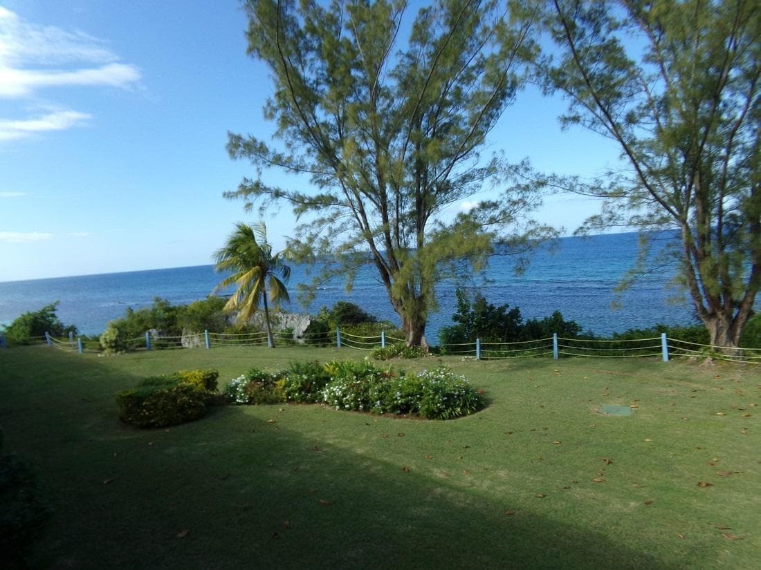 Unit 219 Carib, MAIN STREET OCHO RIOS photo 20