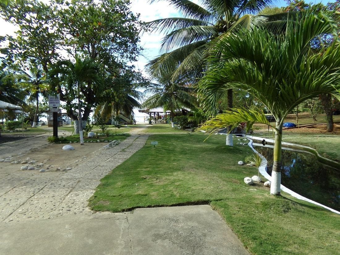 Unit 219 Carib, MAIN STREET OCHO RIOS photo 23