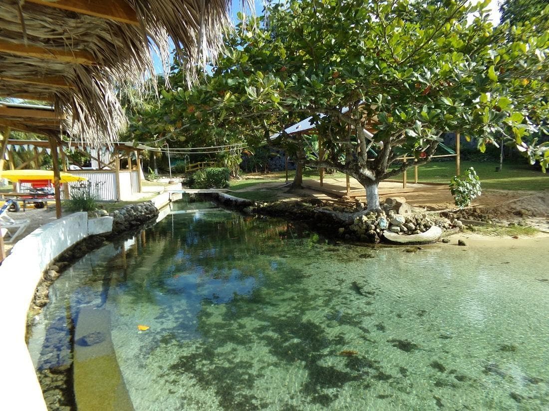 Unit 219 Carib, MAIN STREET OCHO RIOS photo 25