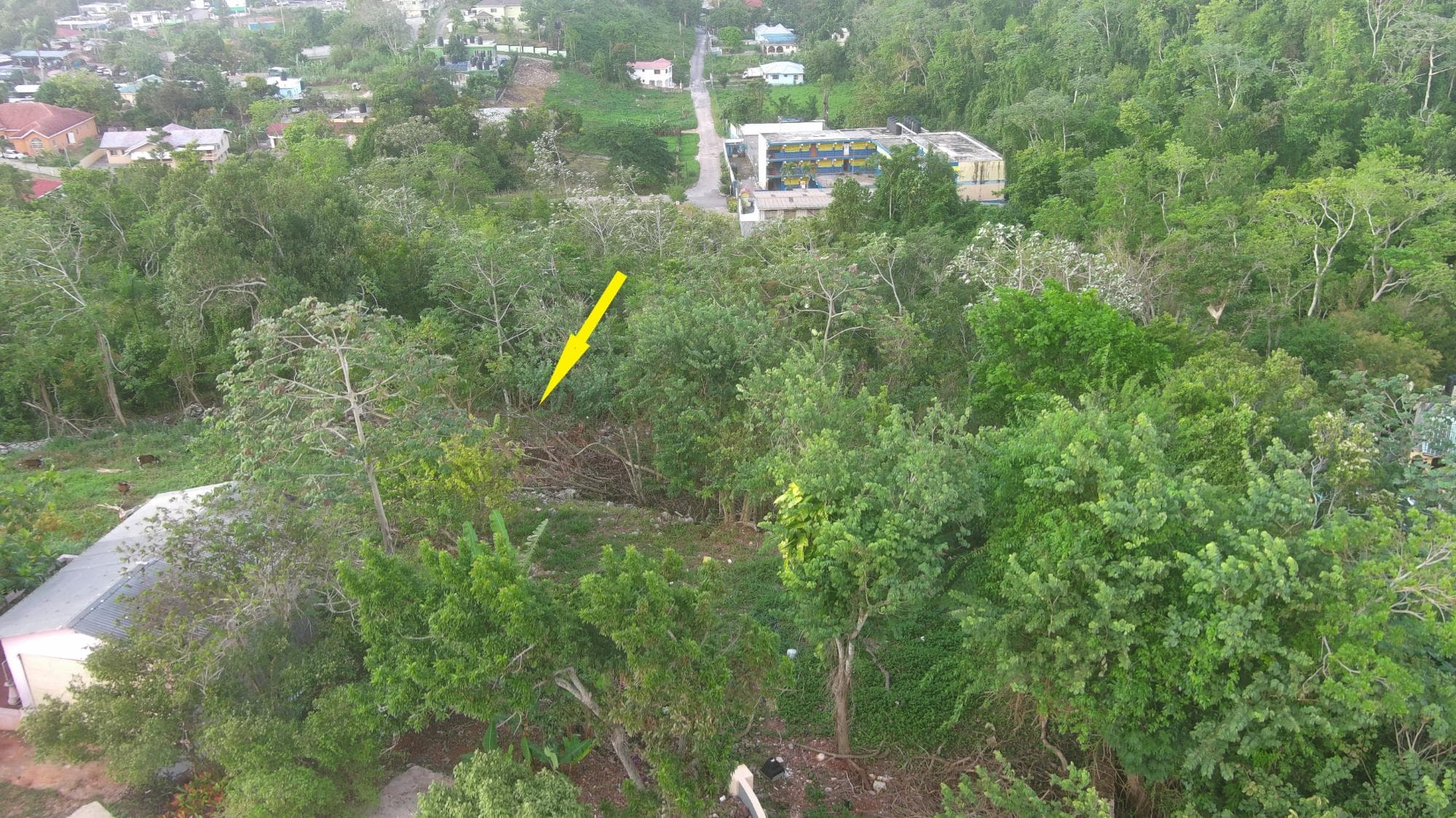 WESLEY ROAD MANDEVILLE photo 6