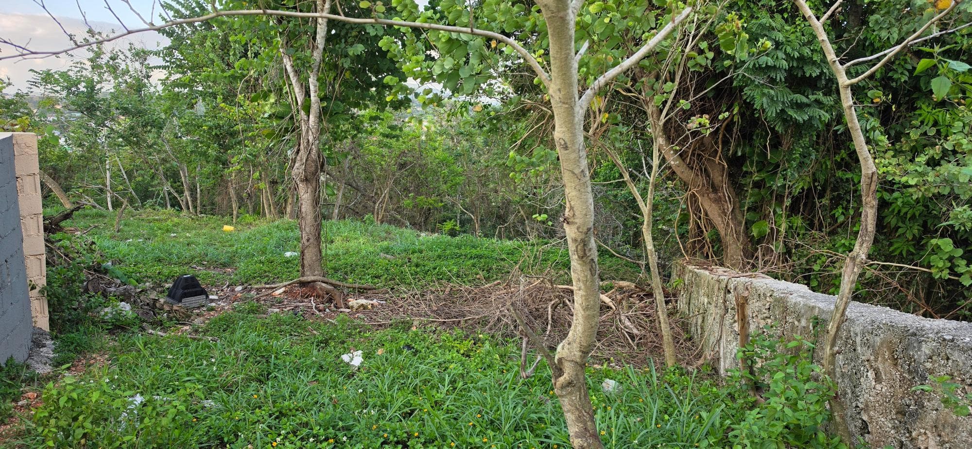 WESLEY ROAD MANDEVILLE photo 8