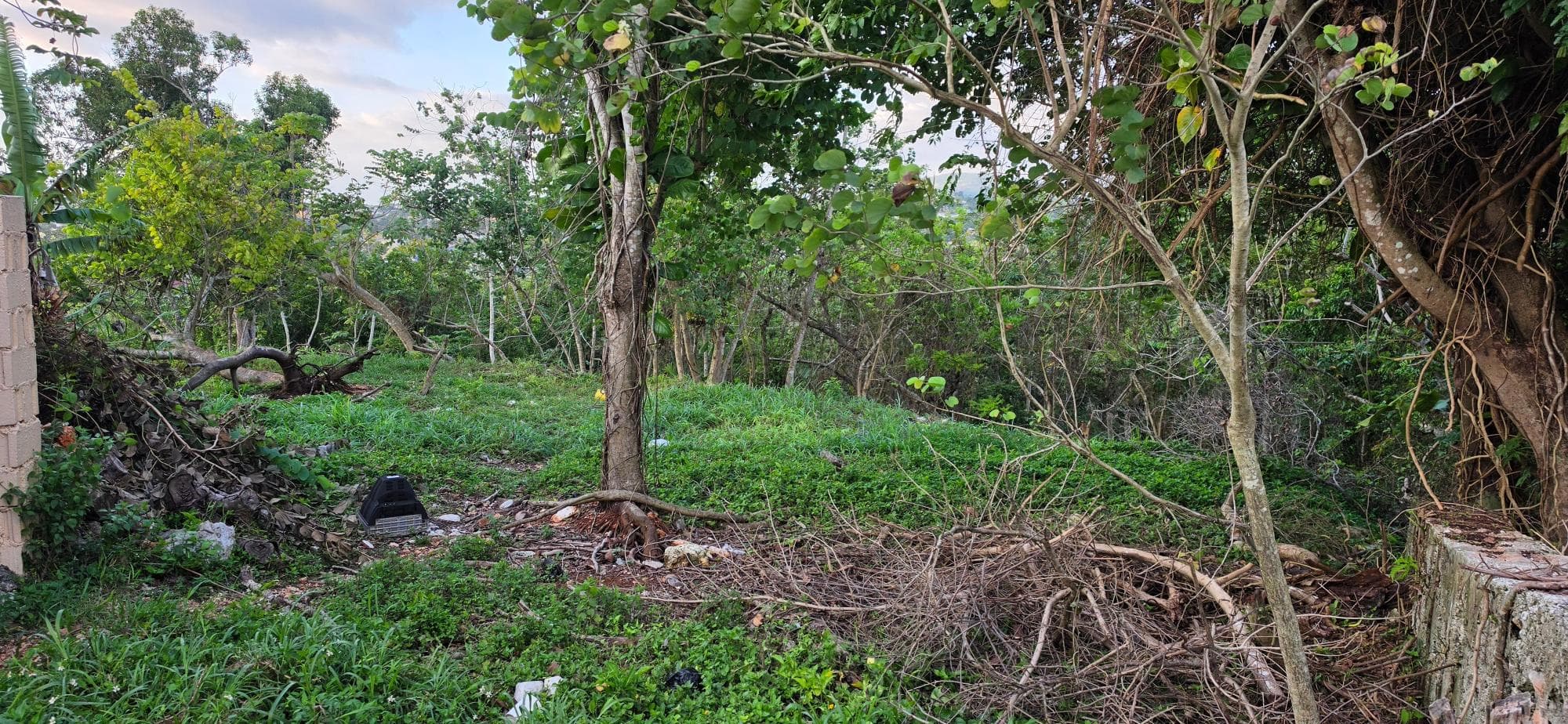 WESLEY ROAD MANDEVILLE photo 9