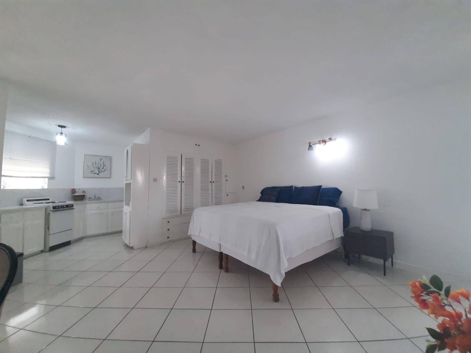 Unit 9, 5 MUSGRAVE AVENUE, KINGSTON photo 13