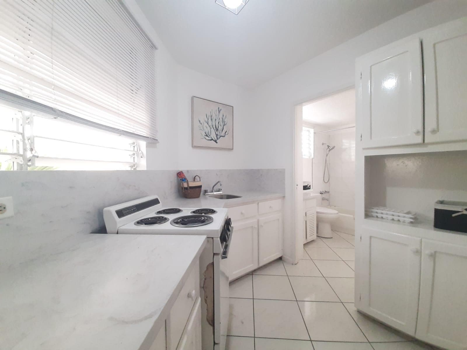 Unit 9, 5 MUSGRAVE AVENUE, KINGSTON photo 17