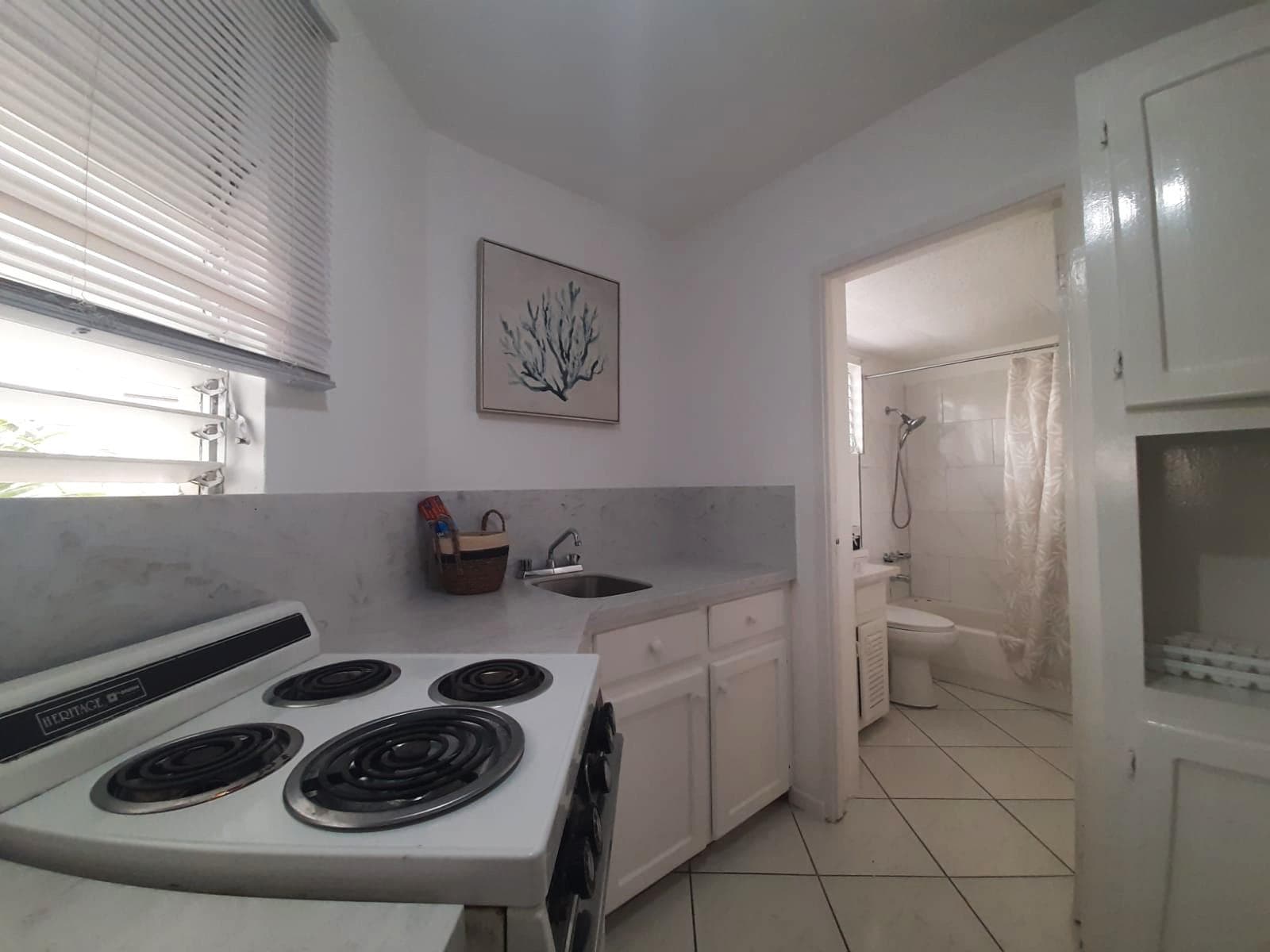 Unit 9, 5 MUSGRAVE AVENUE, KINGSTON photo 18