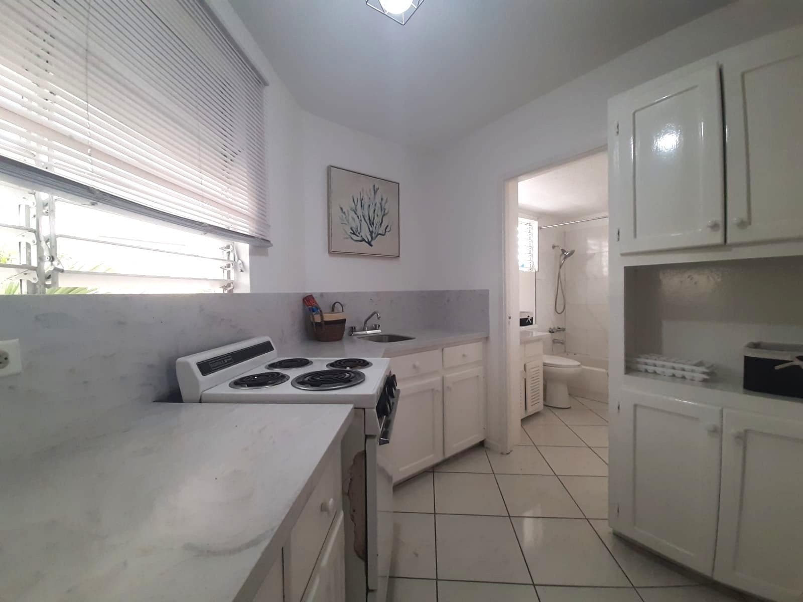 Unit 9, 5 MUSGRAVE AVENUE, KINGSTON photo 19