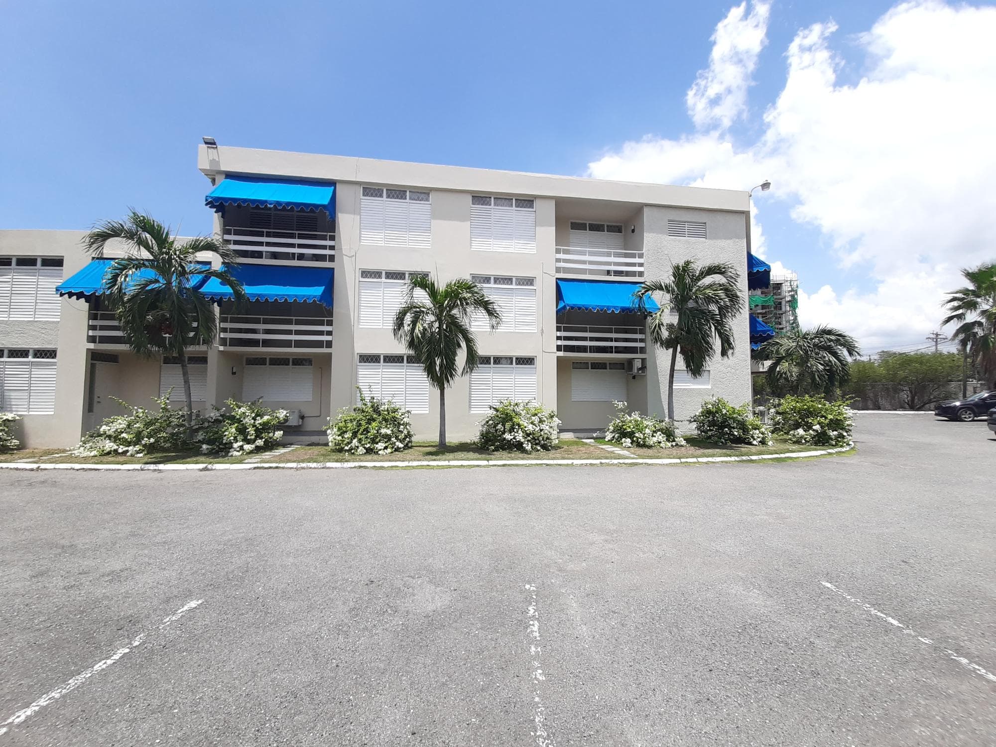 Unit 9, 5 MUSGRAVE AVENUE, KINGSTON photo 4