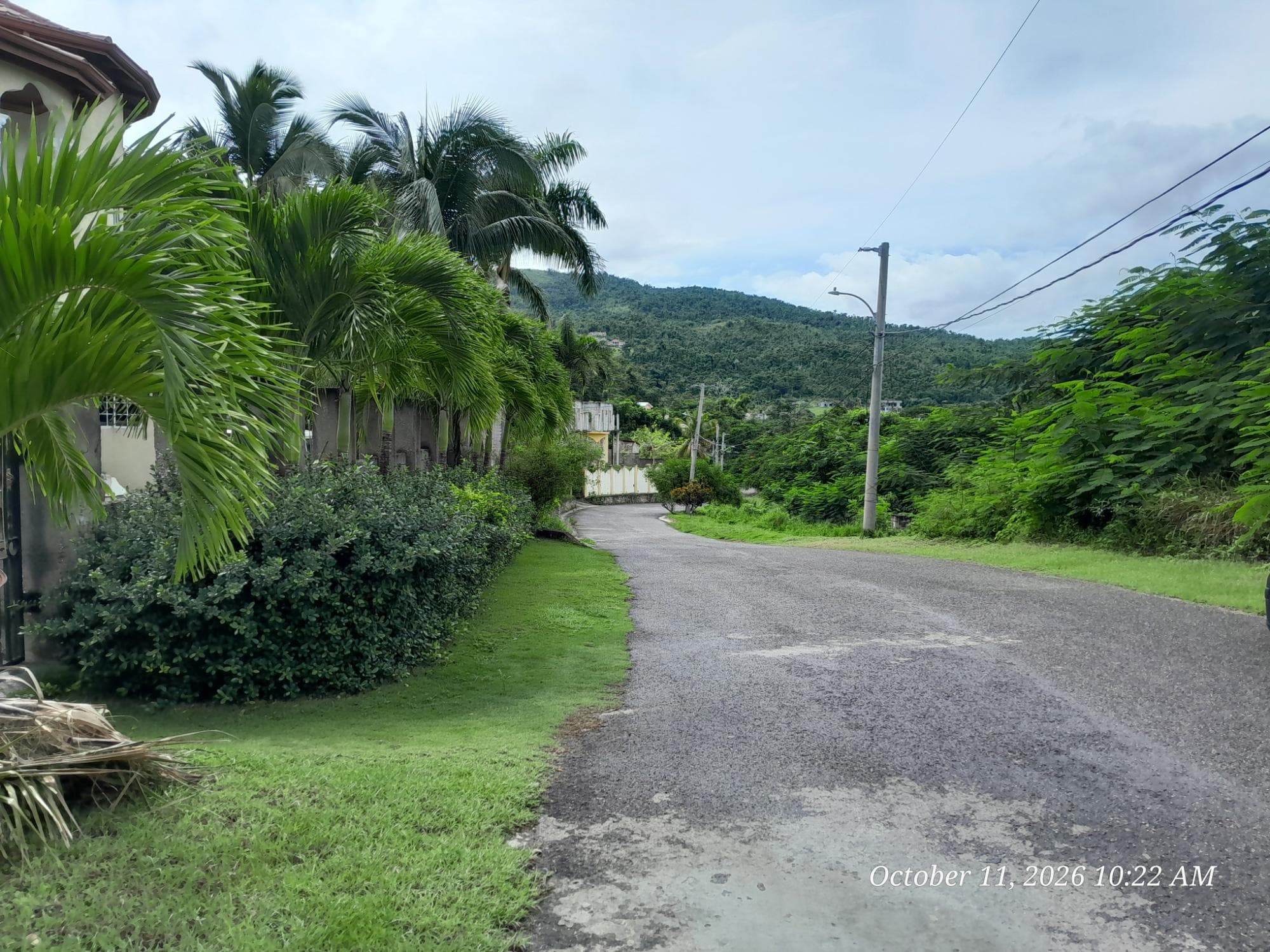 242 ORCHARD GARDENS photo 3