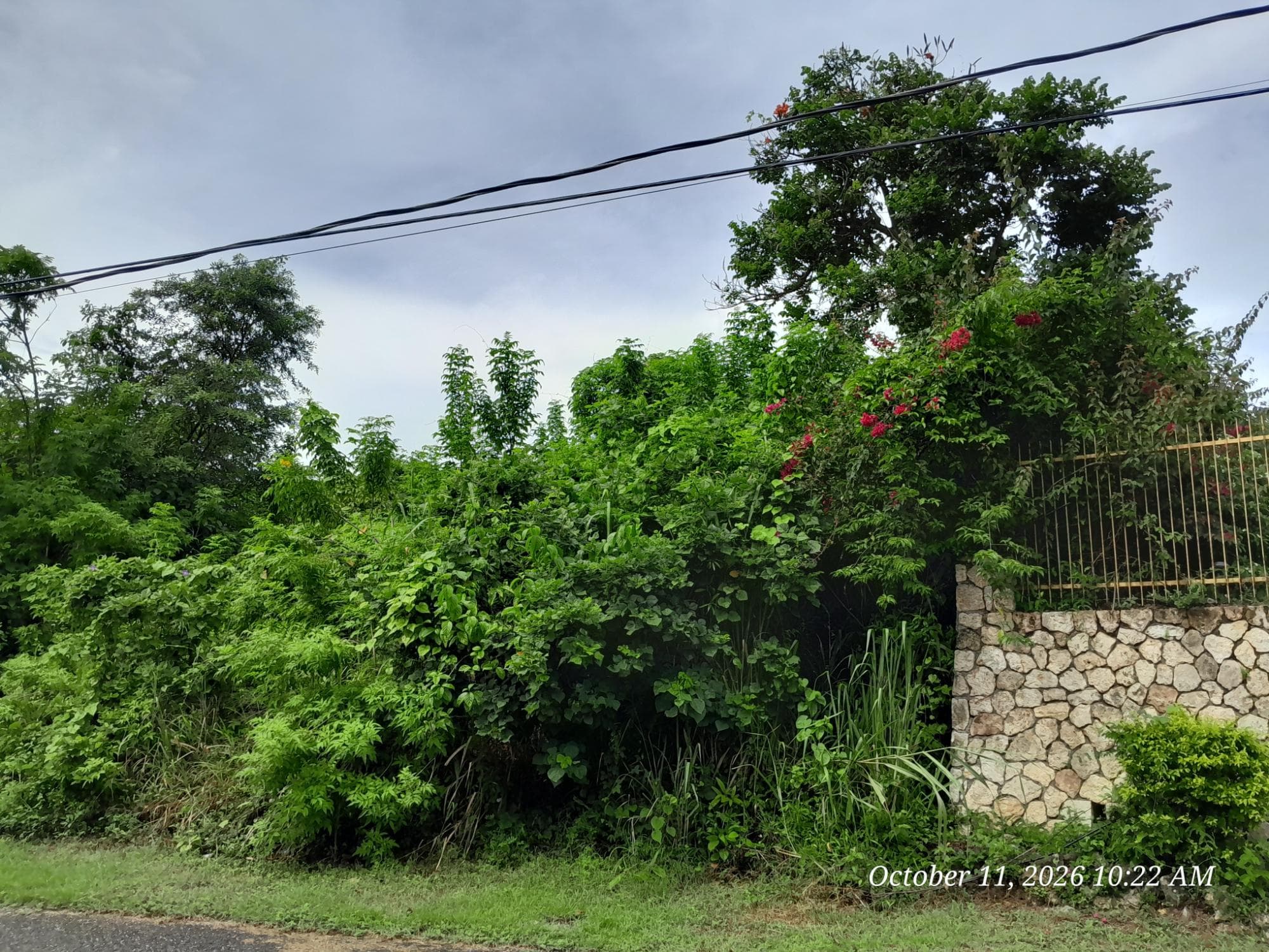 242 ORCHARD GARDENS photo 4
