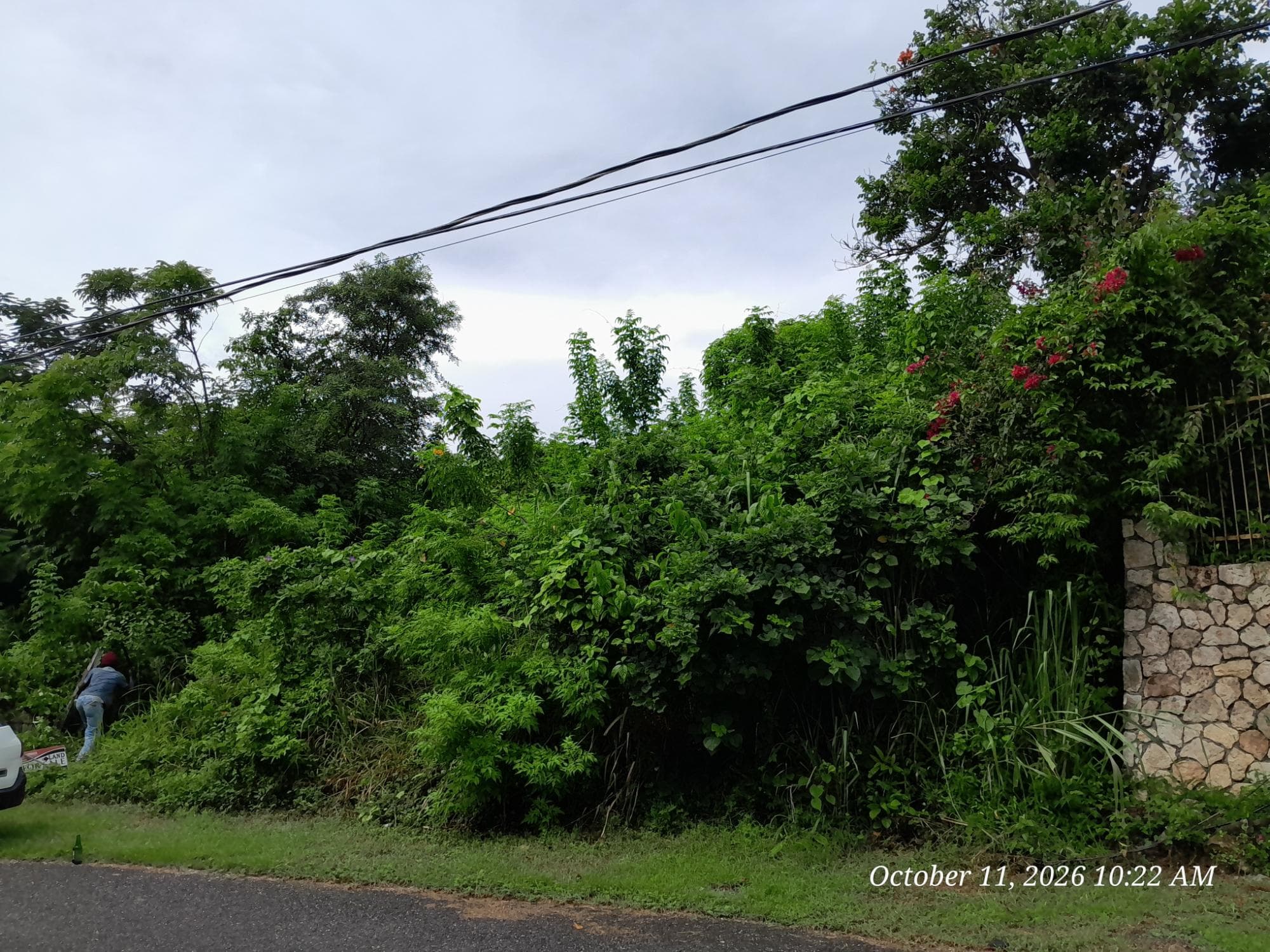 242 ORCHARD GARDENS photo 6