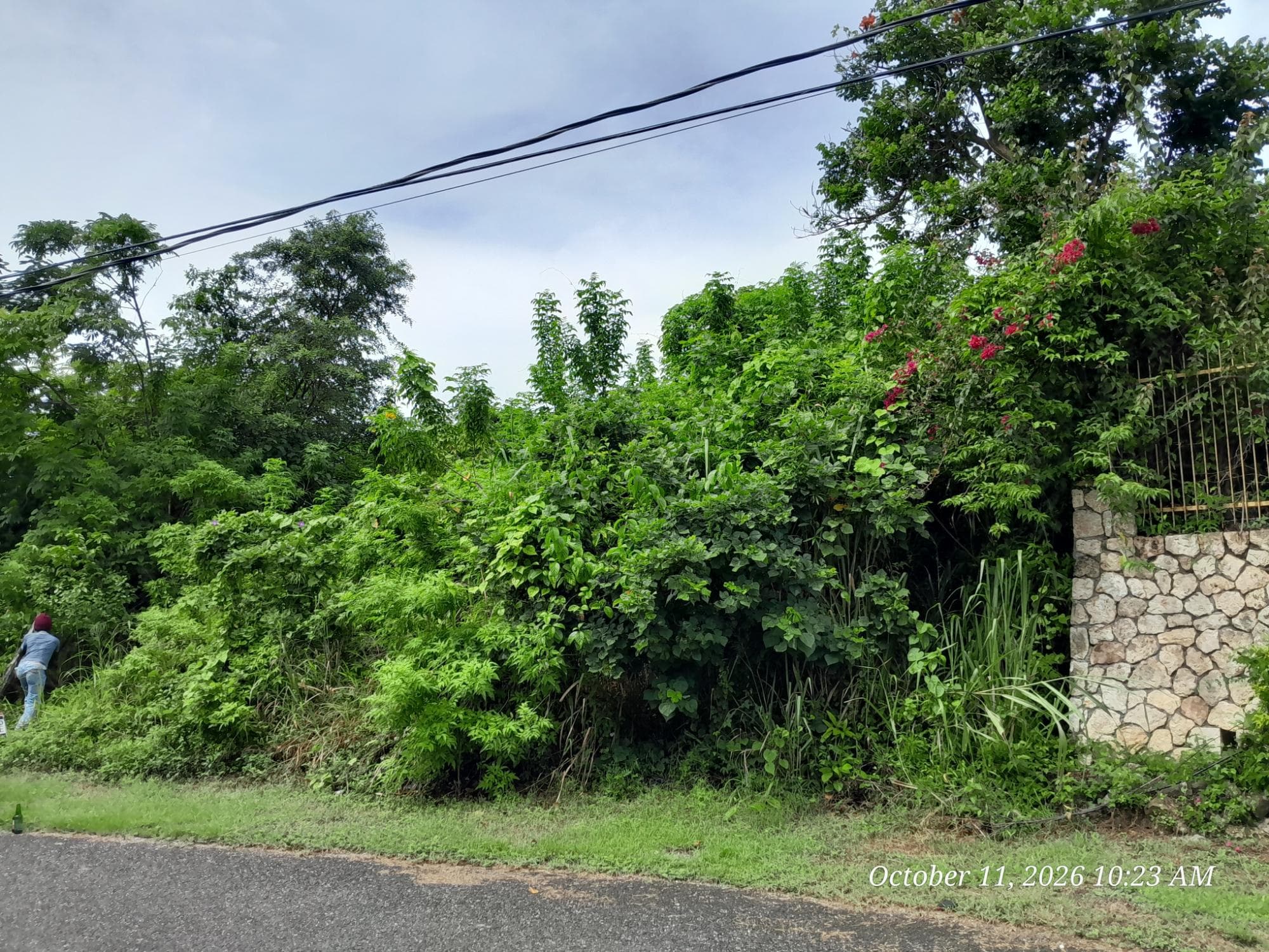 242 ORCHARD GARDENS photo 7