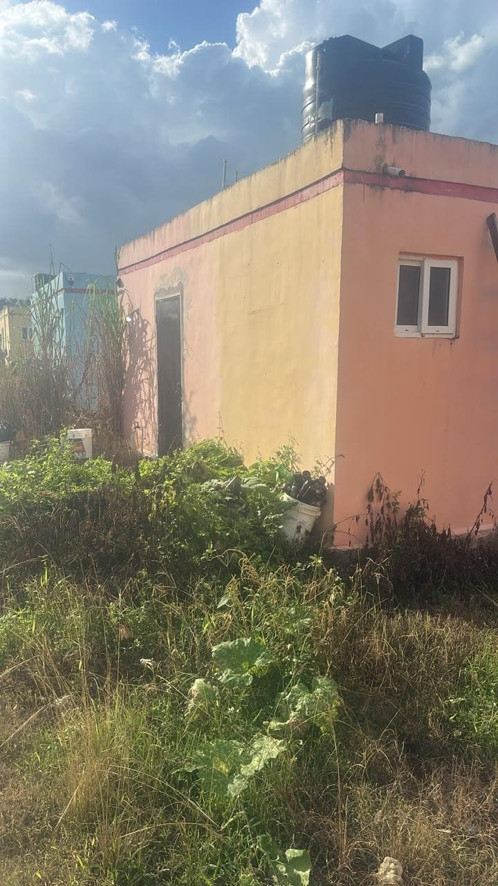 Unit 549, WINCHESTER GREEN ISLAND photo 4