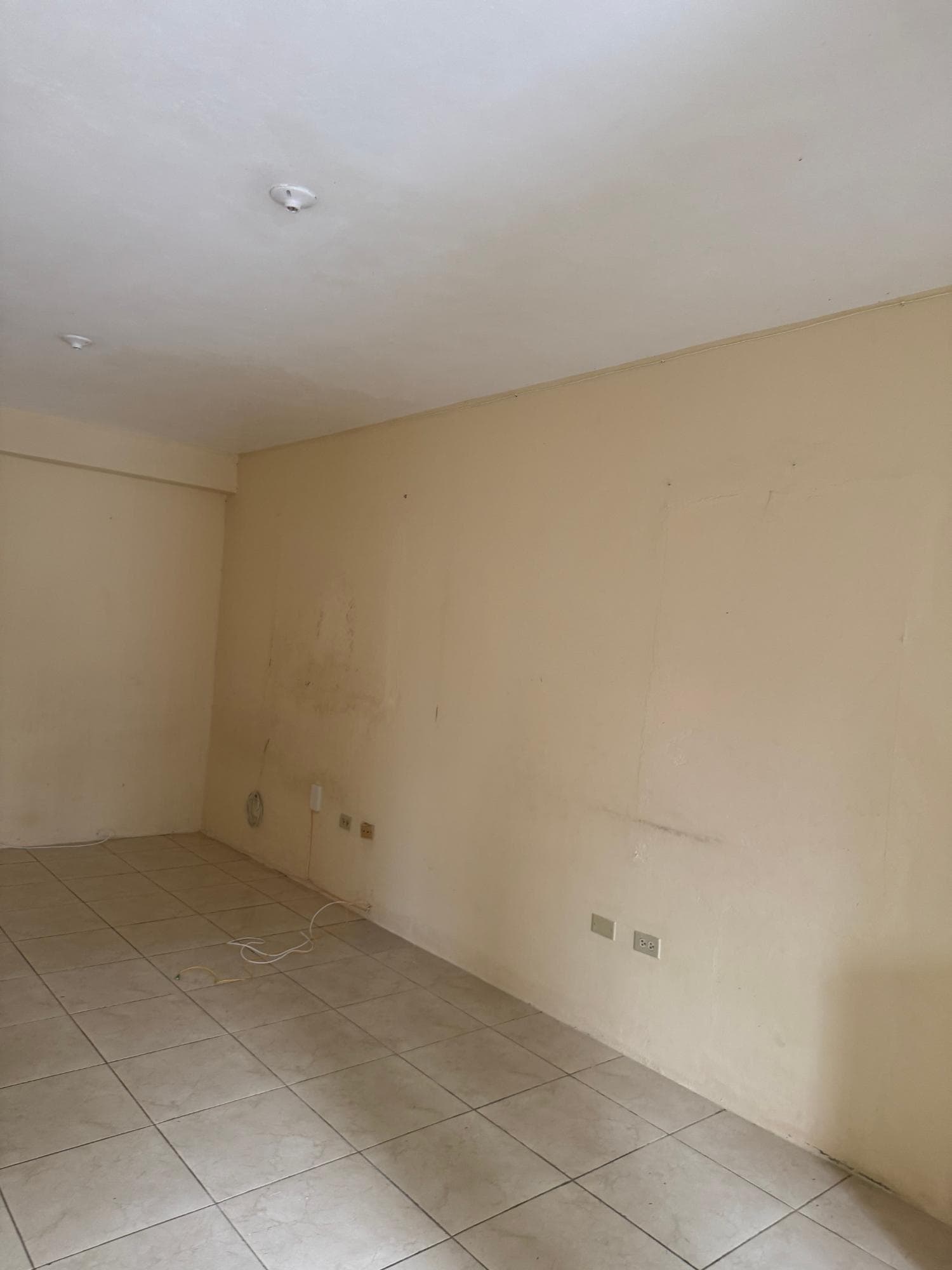 301 ANTIGUA AVENUE, CORNWALL photo 36