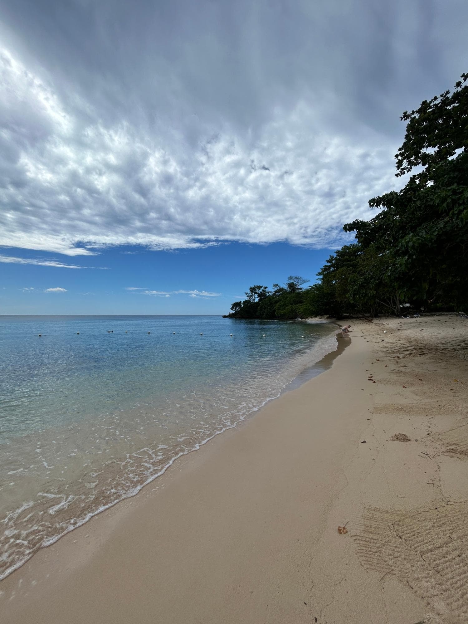 Unit 75, NEGRIL LITTLE BAY COUNTRY photo 29