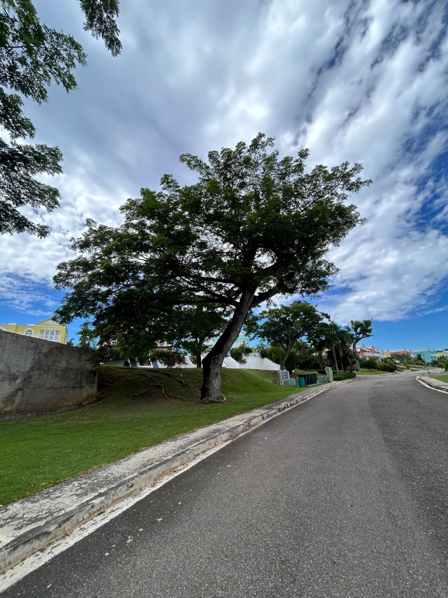 Unit 75, NEGRIL LITTLE BAY COUNTRY photo 31