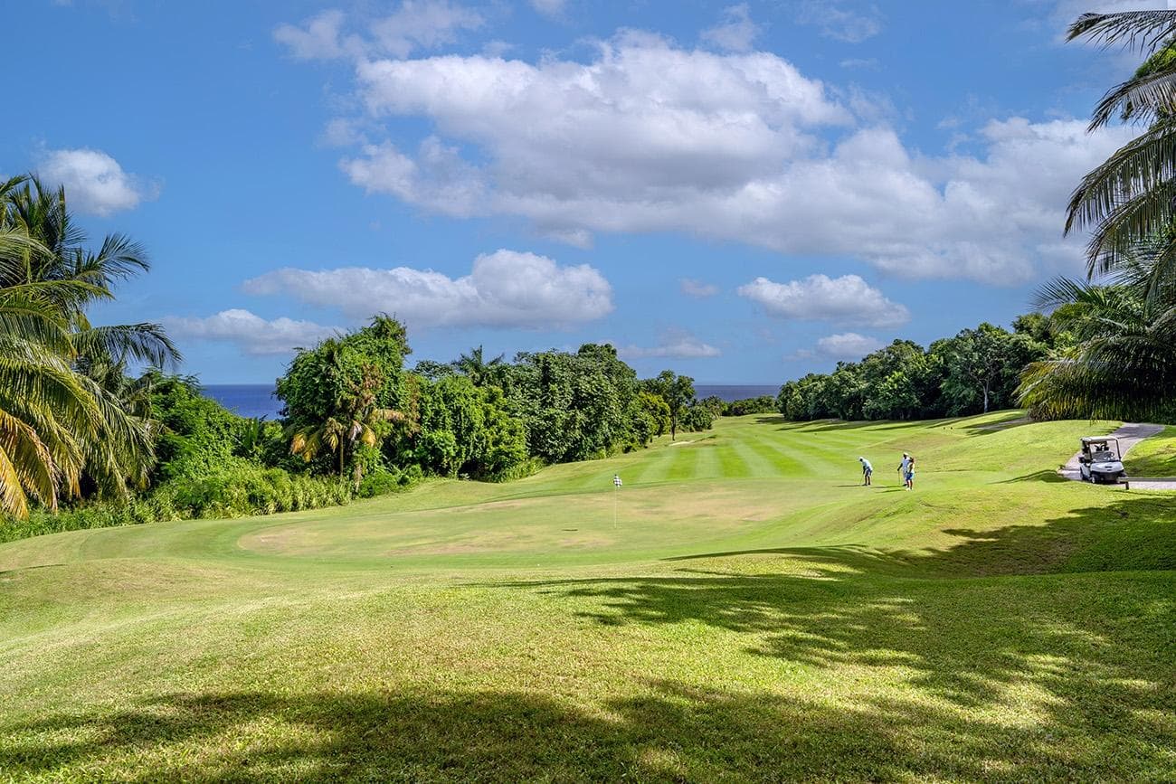 Lot 19 THE GREENS, ROSE HALL photo 24