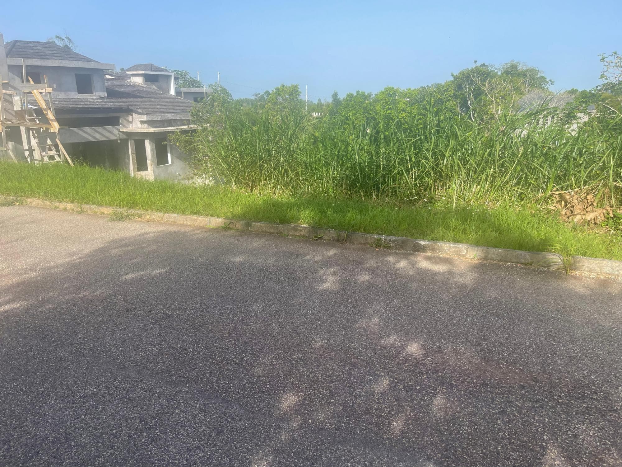 341 MOORLANDS MANOR (PH 3A) photo 3