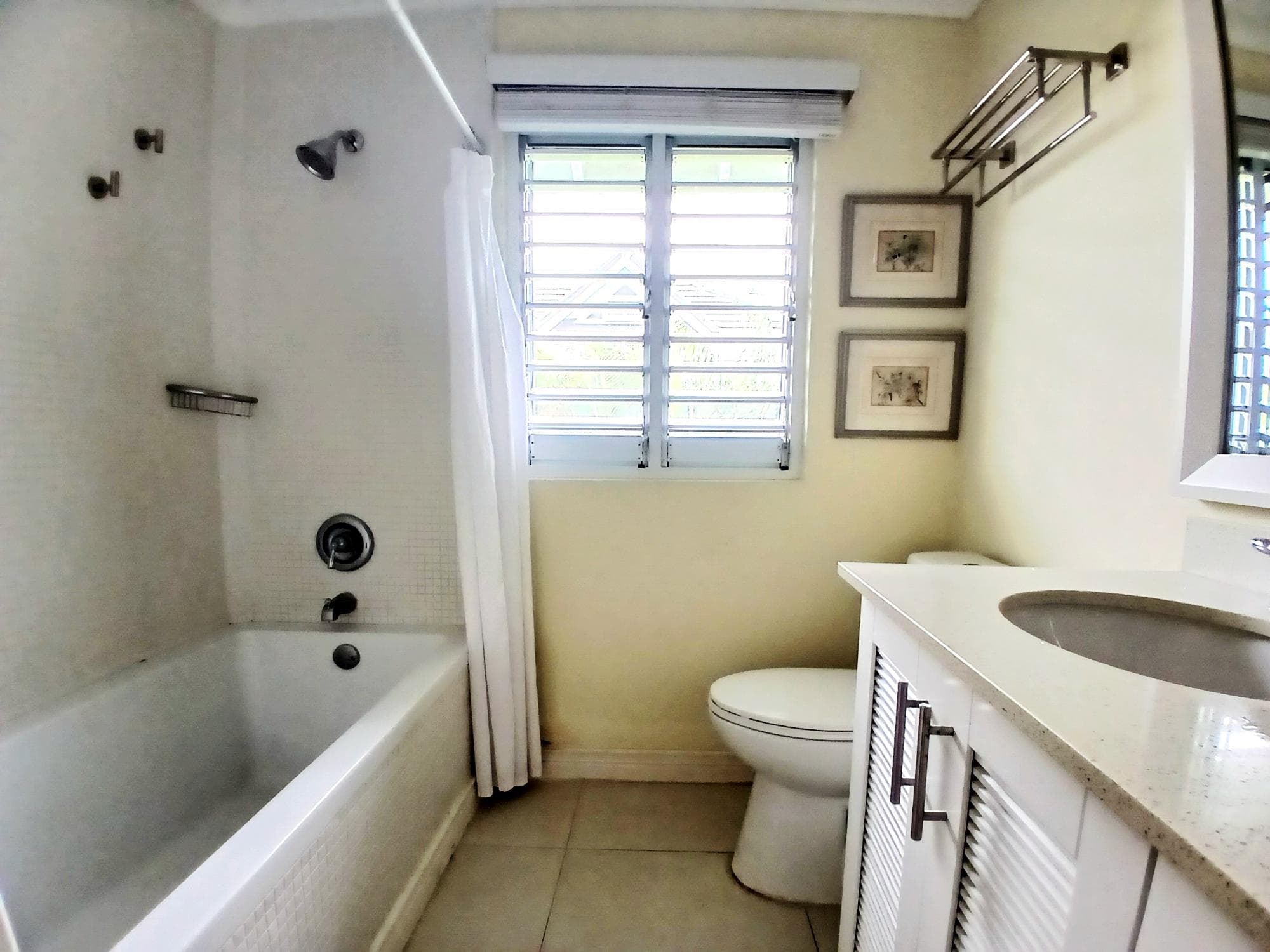 Unit 1002, CALLALOO AVENUE photo 9