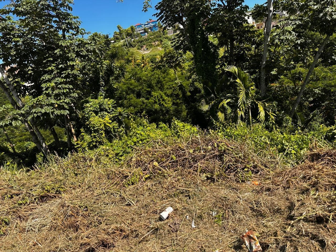 Lot 80 WESTGATE HILLS BOULEVARD photo 3