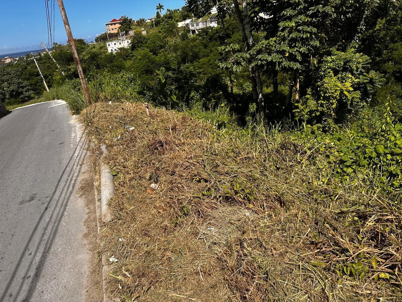 Lot 80 WESTGATE HILLS BOULEVARD photo 8