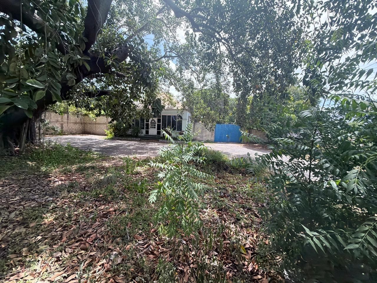 15 BALMORAL AVENUE photo 10