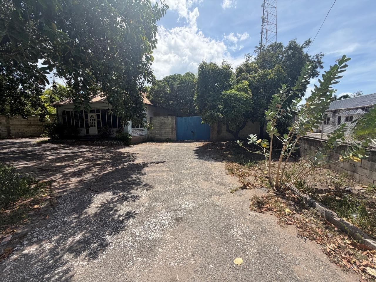 15 BALMORAL AVENUE photo 3