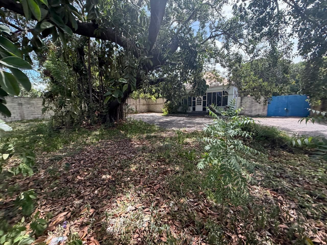 15 BALMORAL AVENUE photo 4