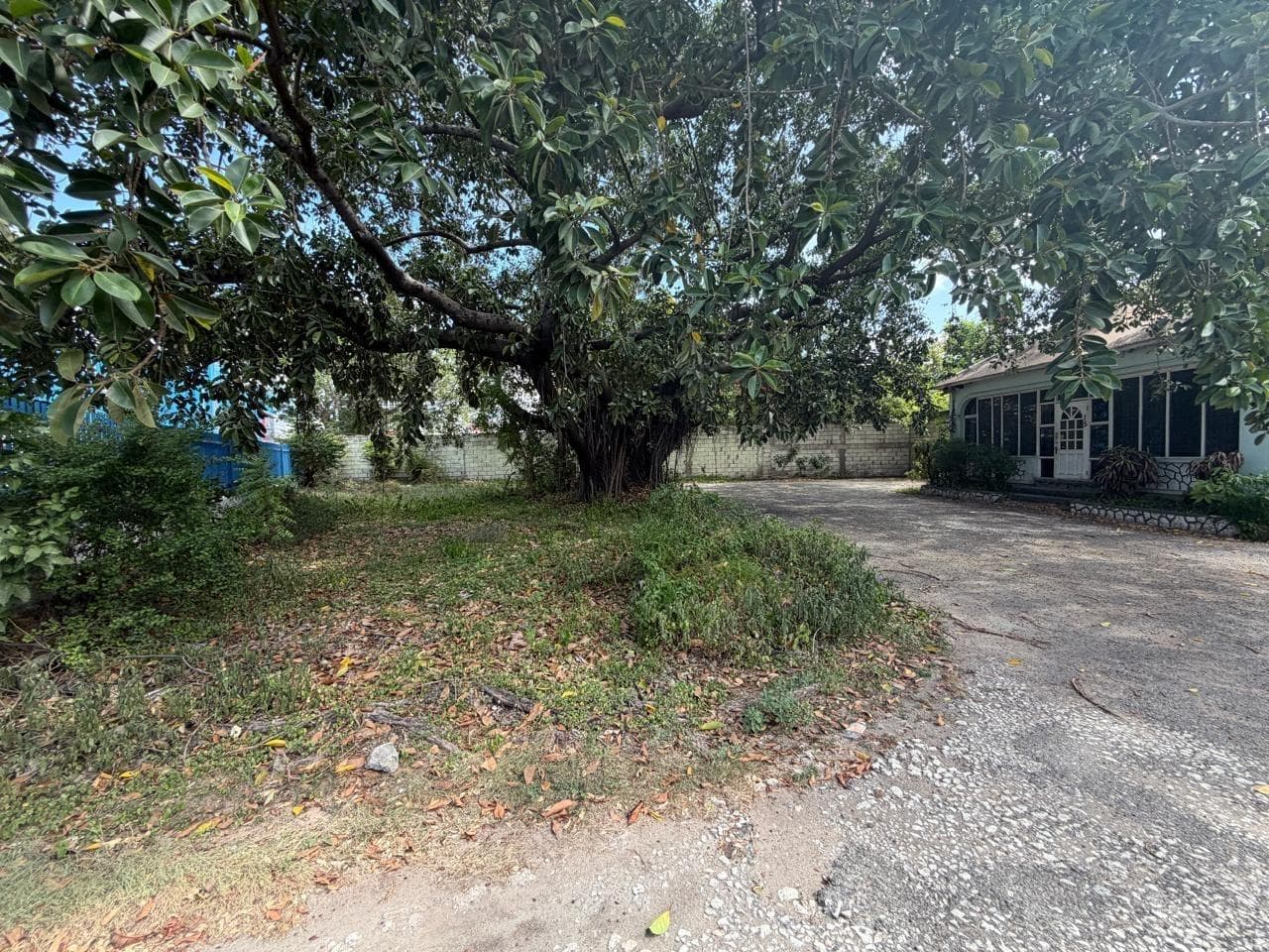 15 BALMORAL AVENUE photo 5