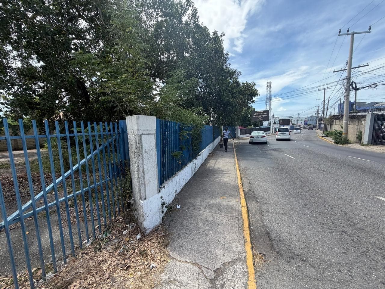 15 BALMORAL AVENUE photo 6