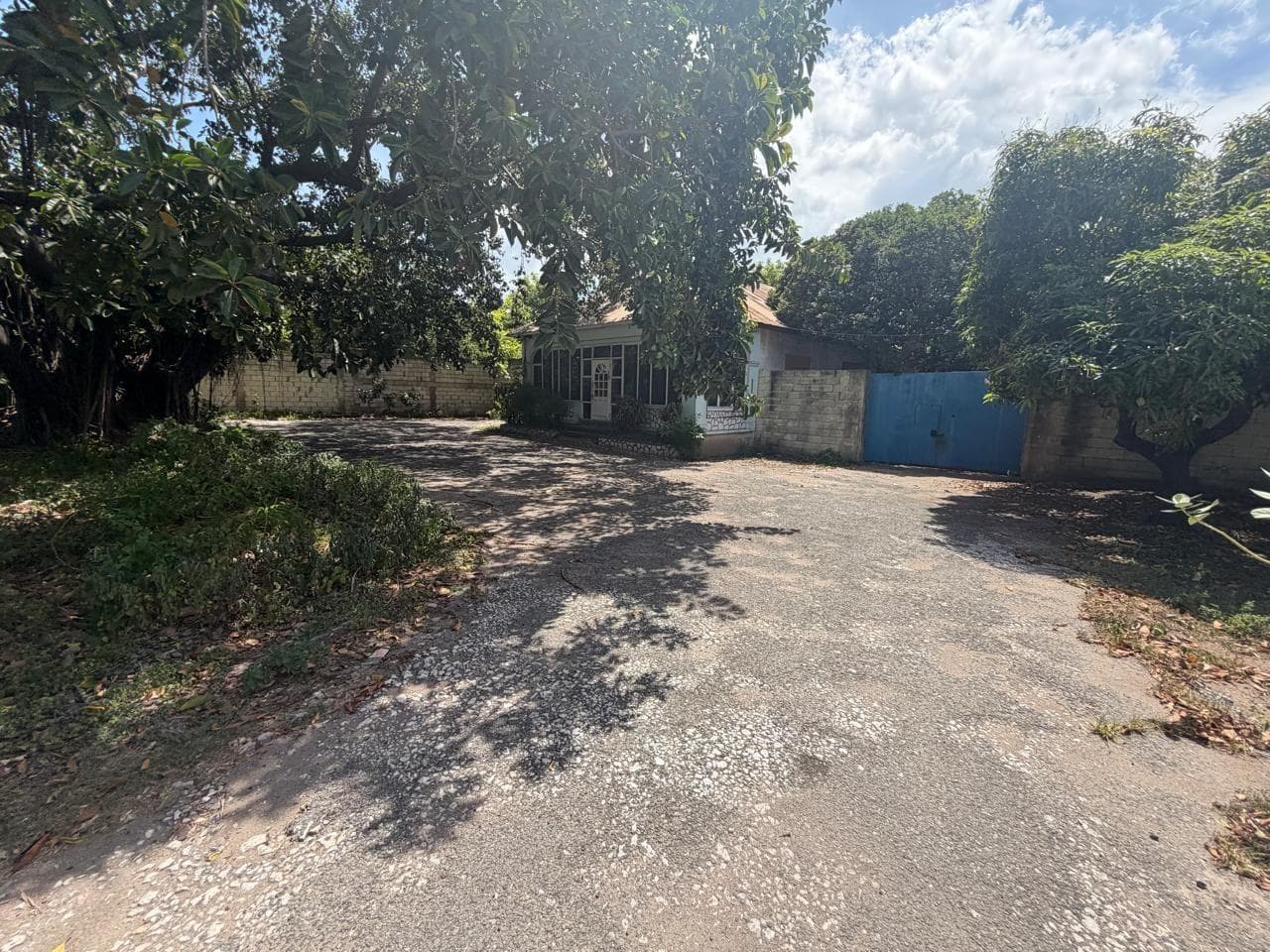 15 BALMORAL AVENUE photo 7