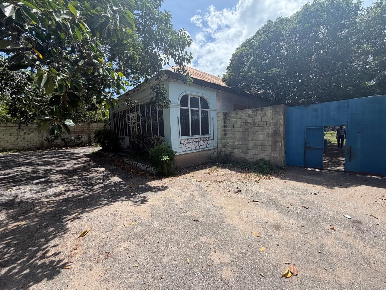 15 BALMORAL AVENUE photo 8