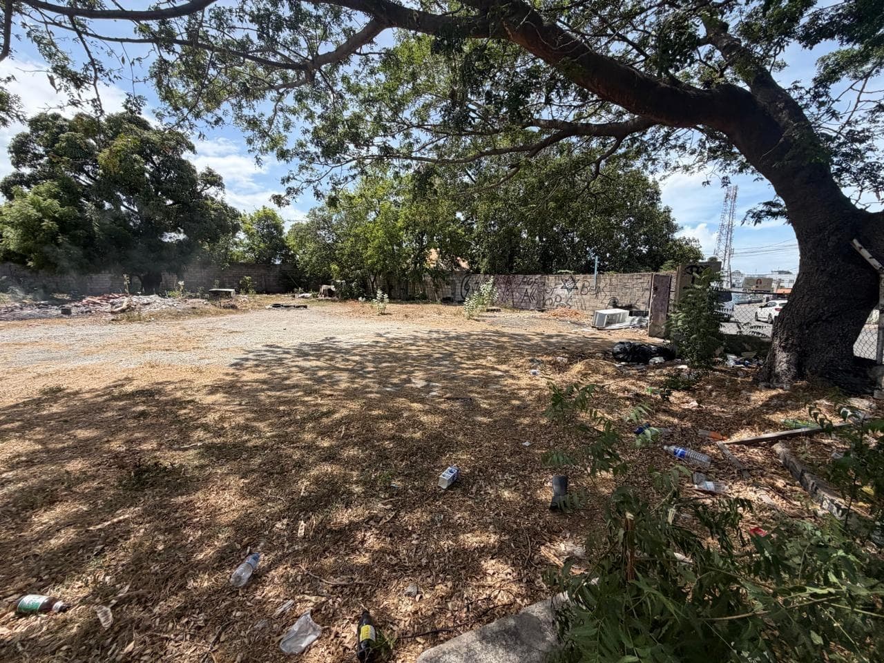 11 BALMORAL AVENUE photo 3