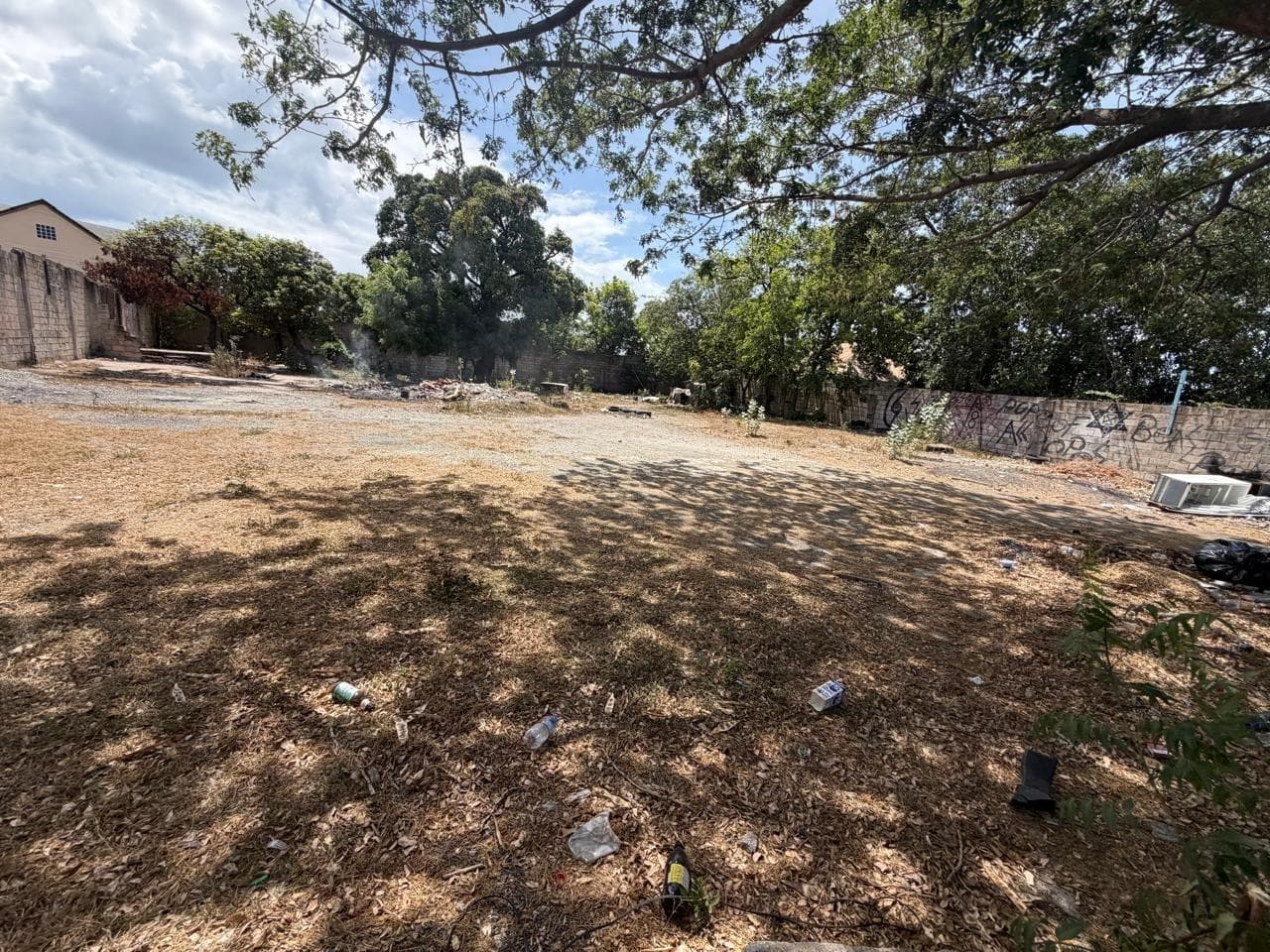 11 BALMORAL AVENUE photo 5
