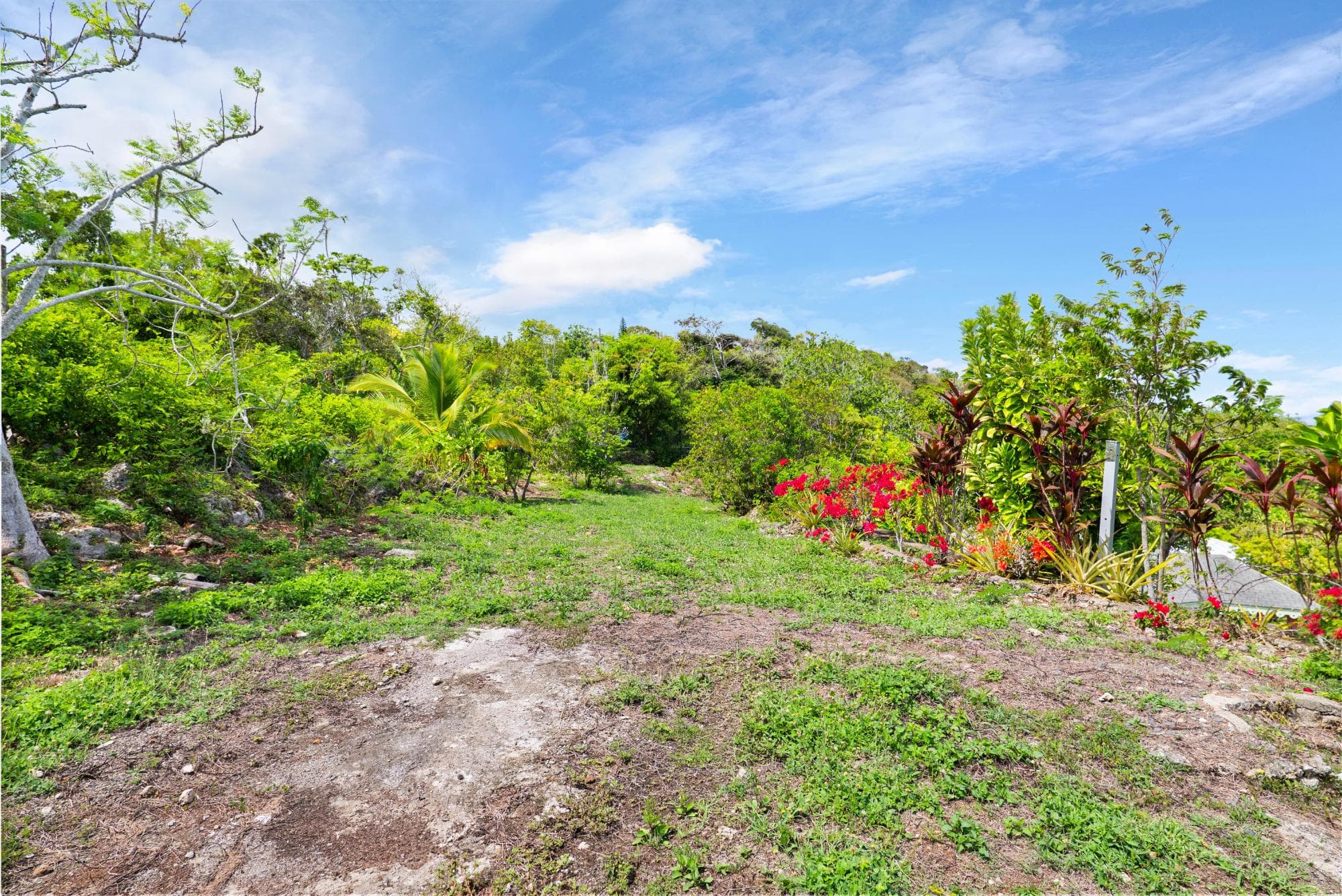 ROSE HILL photo 27