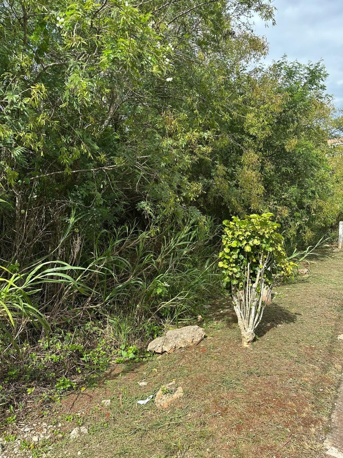 LOT 472 MOORLANDS ESTATE photo 4