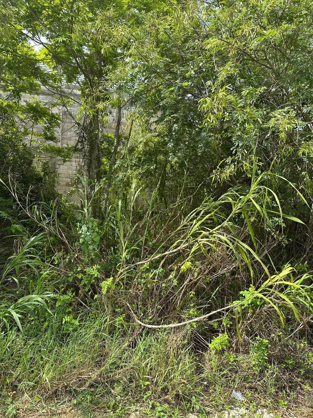 LOT 472 MOORLANDS ESTATE photo 5