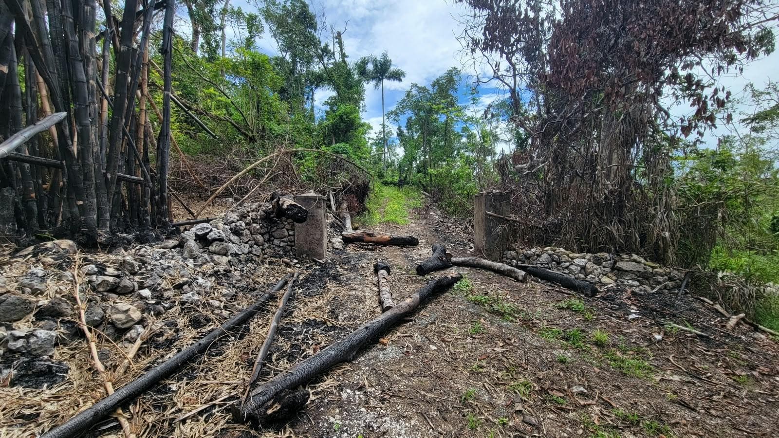 Lot 2 MAMMEE RIDGE, LIME HALL photo 10