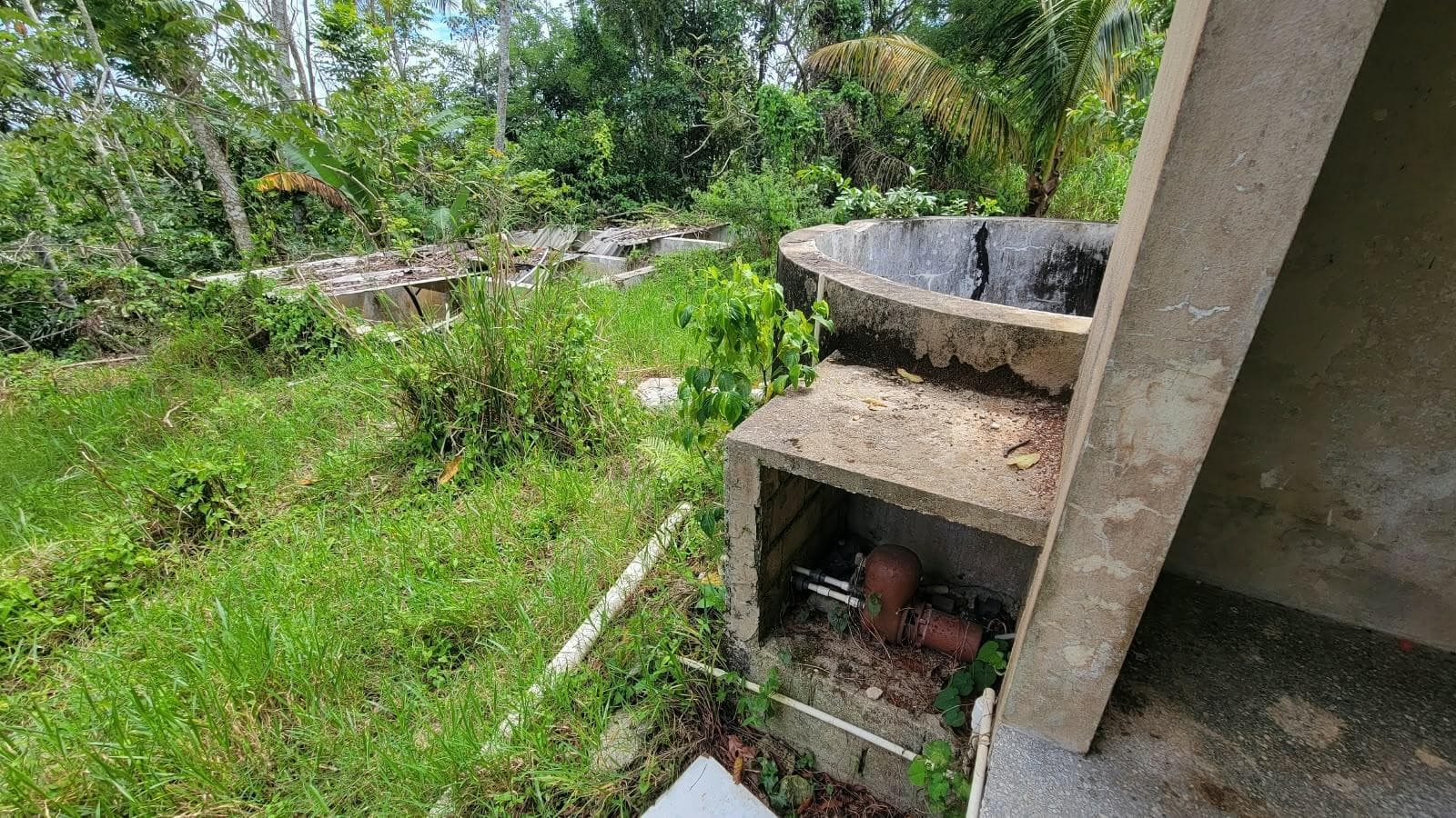 Lot 2 MAMMEE RIDGE, LIME HALL photo 6
