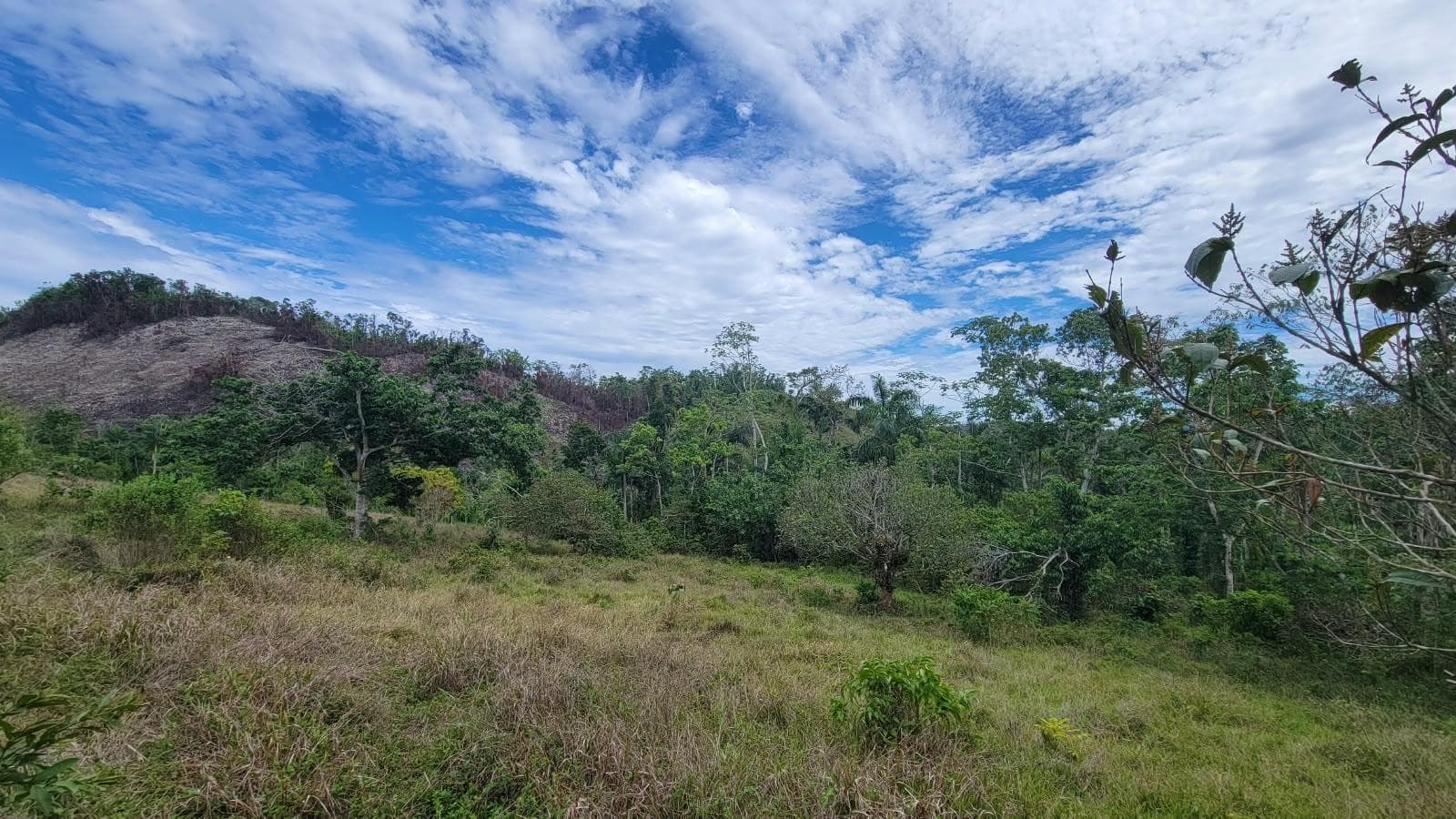 Lot 2 MAMMEE RIDGE, LIME HALL photo 7