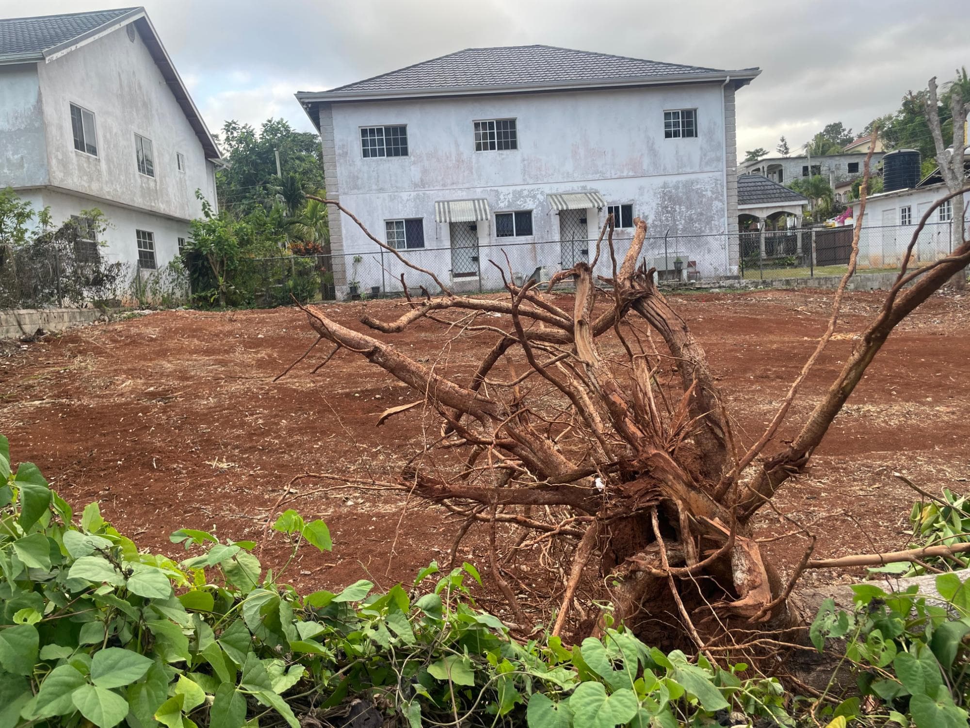 Unit Lot, 26 WOODLAWN, MANDEVILLE photo 2