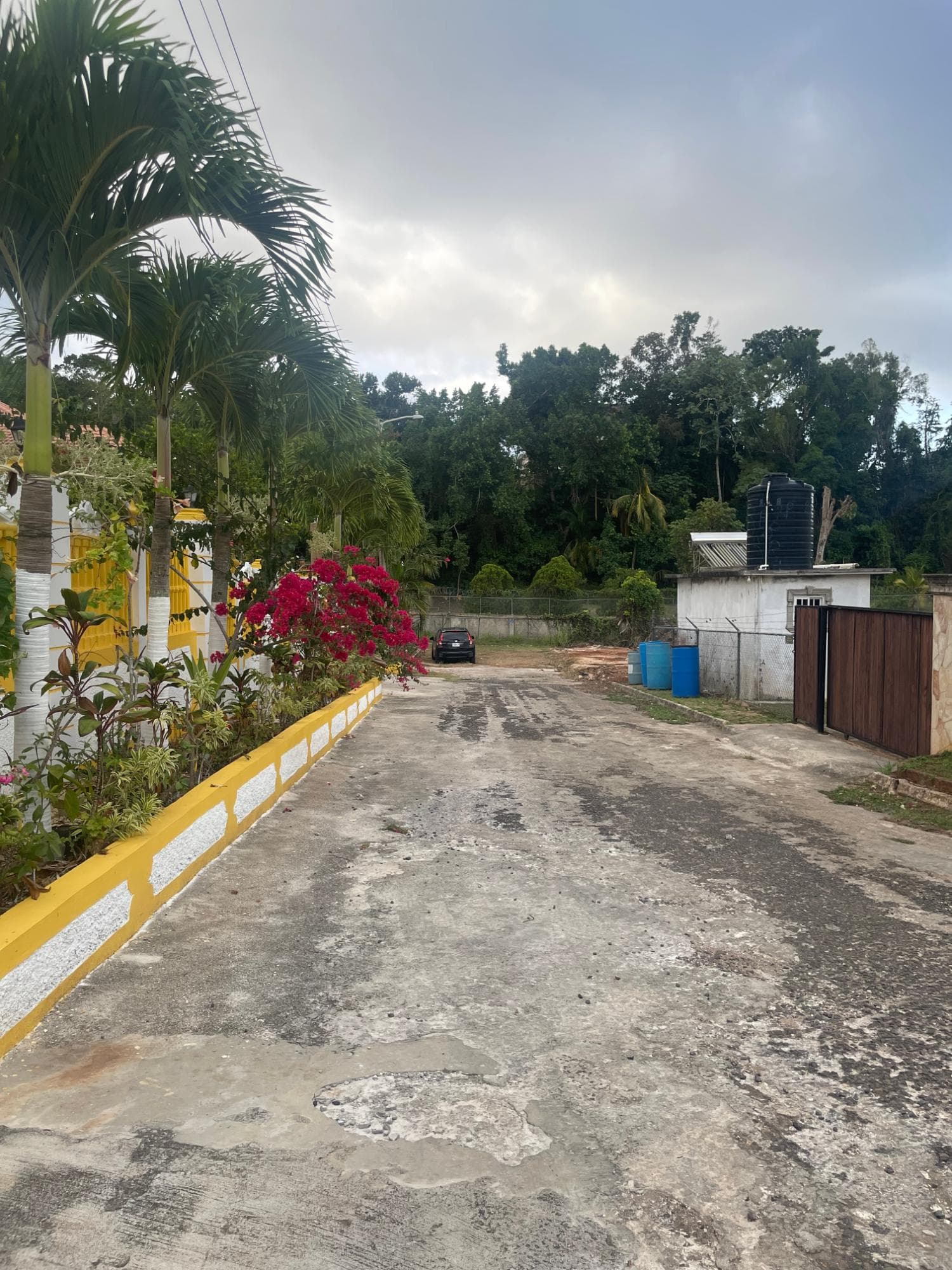 Unit Lot, 26 WOODLAWN, MANDEVILLE photo 6